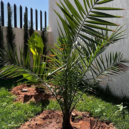 Anza Blue Villa Agadir Exterior photo